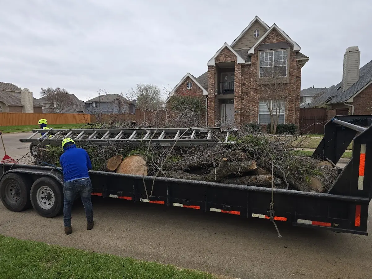 Expert Tree Removal with proper safety equipment in Hopedale